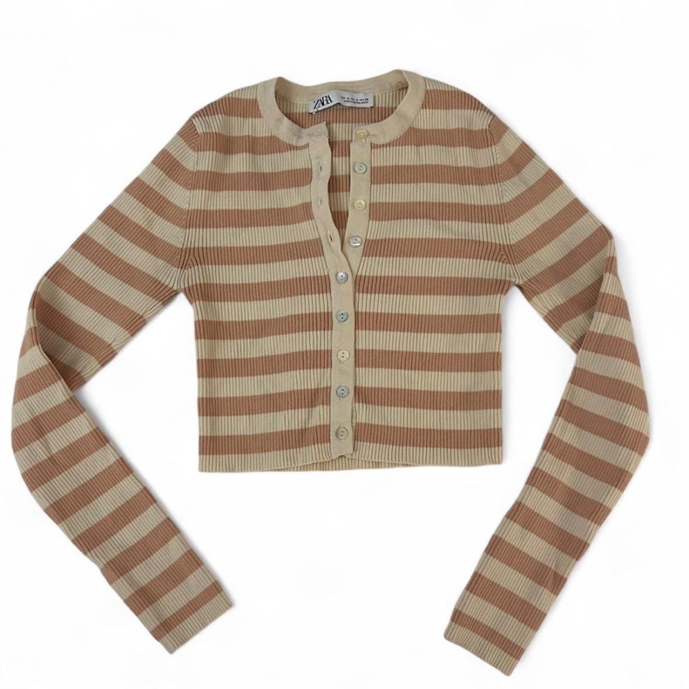 Zara Striped Longsleeve Crop Top